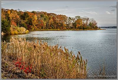 image by Kirms Photography Shark River Hills Foliage-4